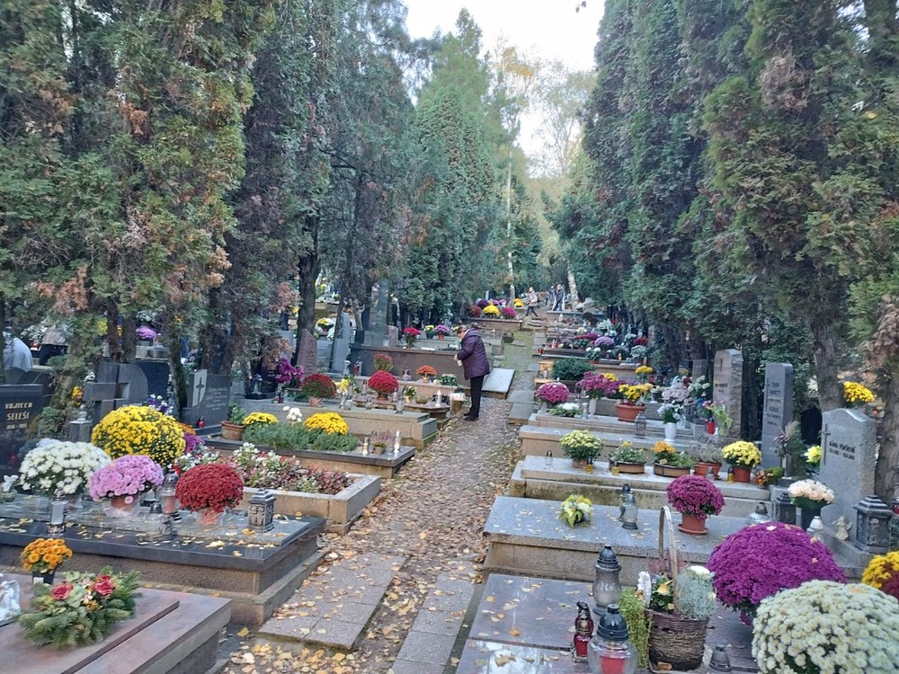 Cintorín v Bratislave (3)