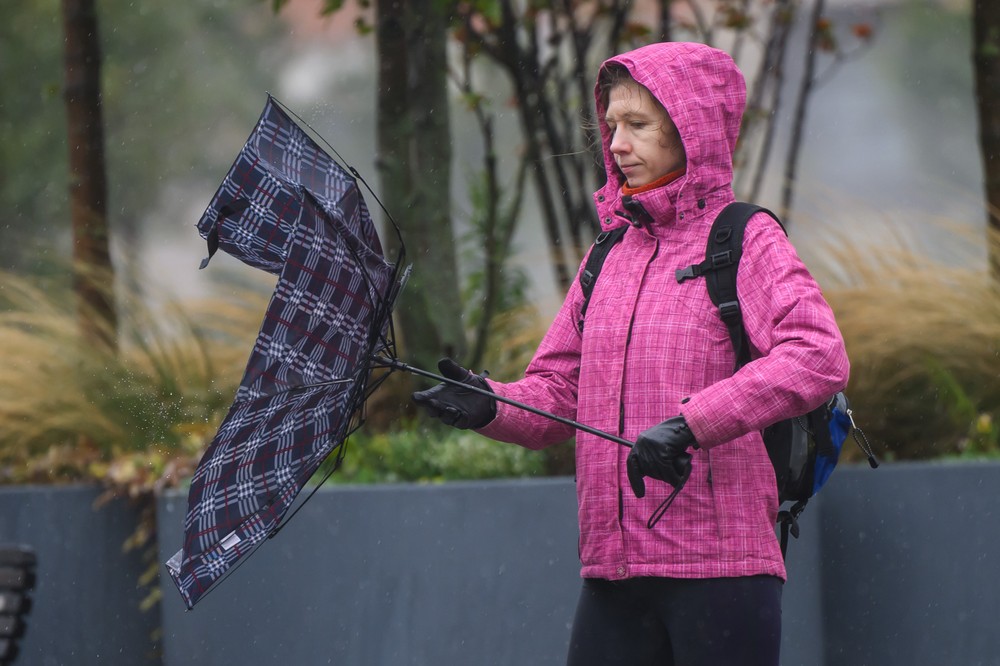 20241409_dazd_ba_09072101