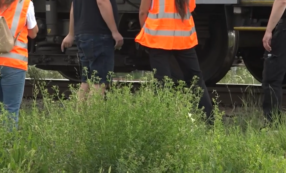 Screenshot 2024-08-10 133636