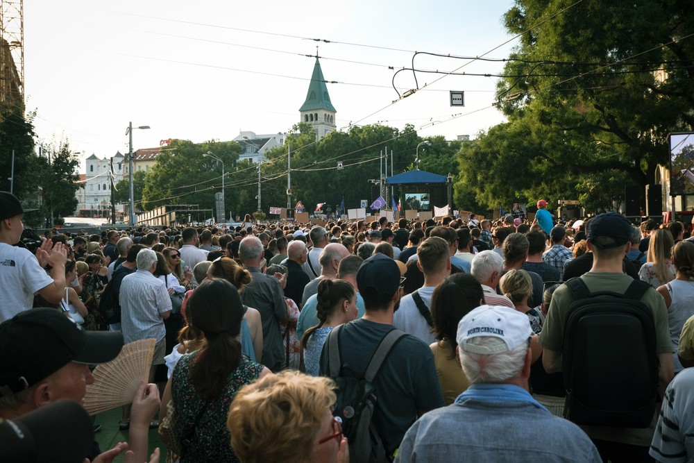 protesty ps za kulturu (20)