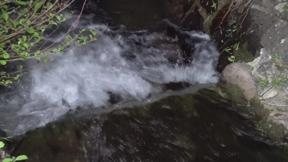 [multi] 041324EKV 2564