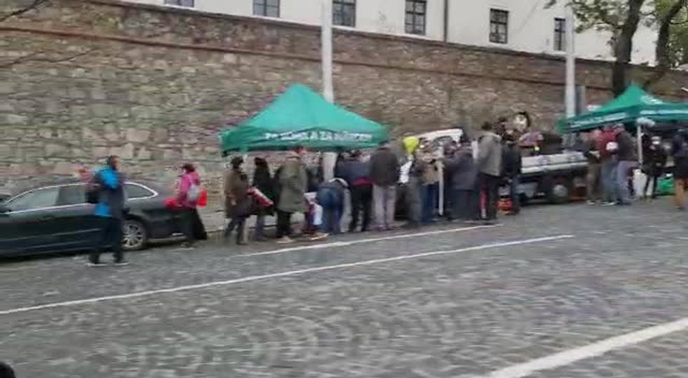 [multi] protesty 17.11 1175