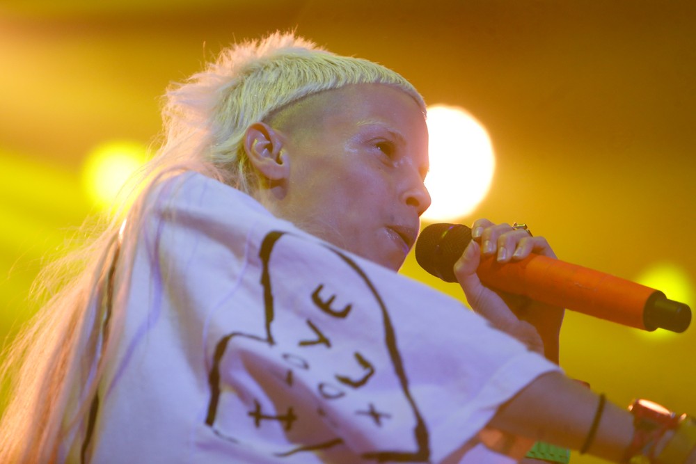 Die Antwoord
