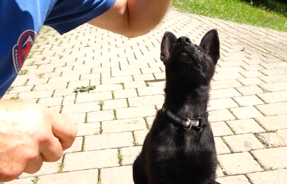 Screenshot 2024-07-27 094100