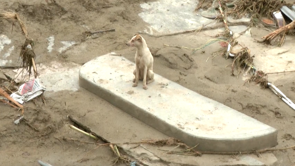 Výbuch sopky Venezuela 12