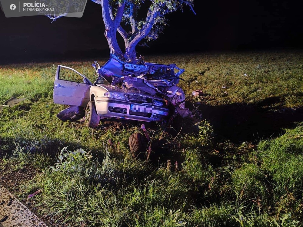 352674815_636525031856711_5114293238692877535_n