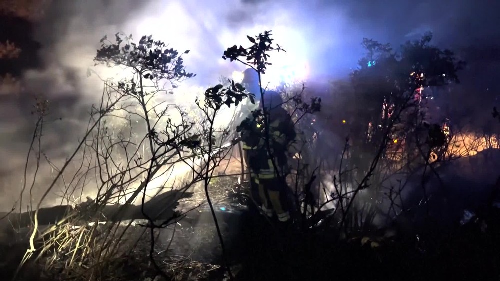 [multi] 080725SNP 1154