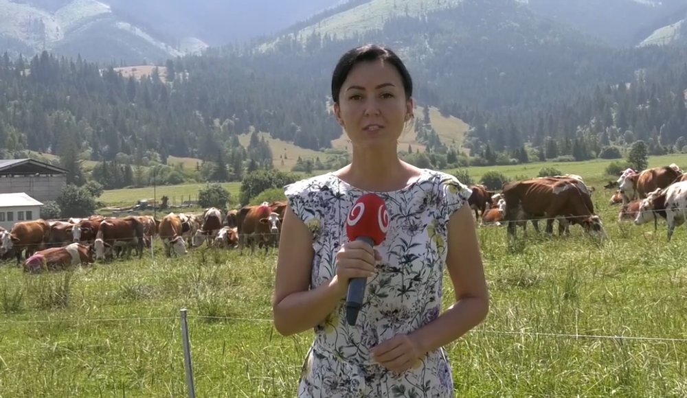 Screenshot 2024-07-11 093405