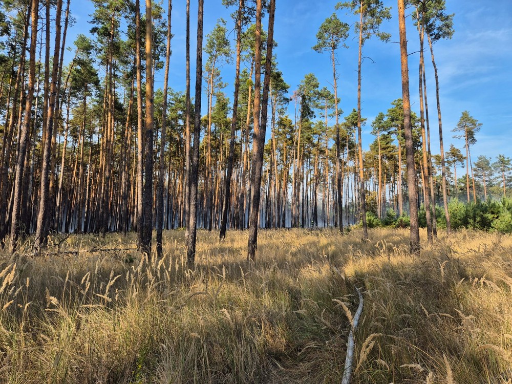 WhatsApp Image 2024-09-03 at 16.57.21 (1)