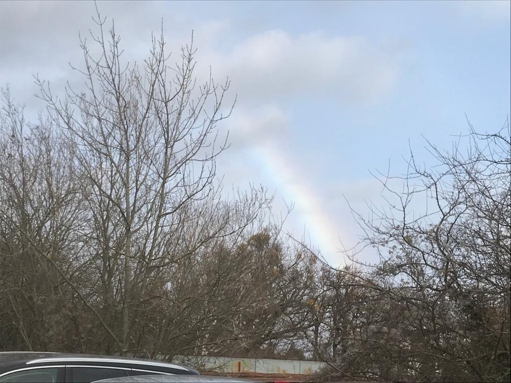 Silný vietor v Pezinku 