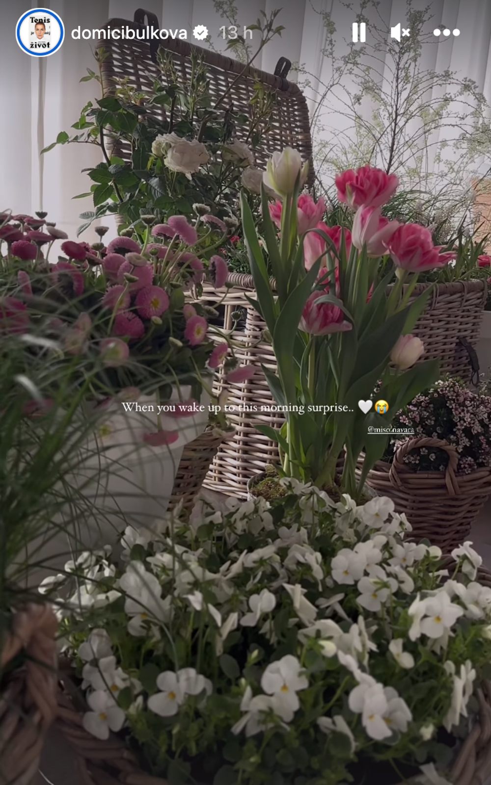 Takéto prekvapenie čakalo Dominiku po príchode z pôrodnice