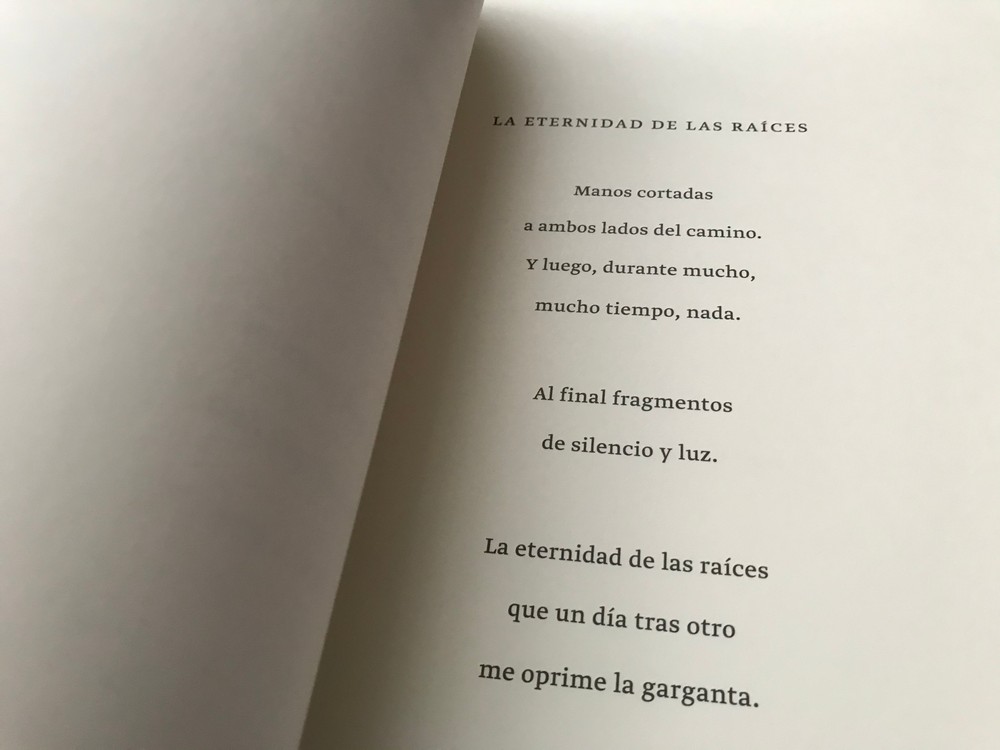 V Londýne sa čítali slovenské verše