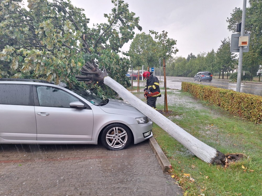 456242920_1148837433384490_3595736856787248665_n