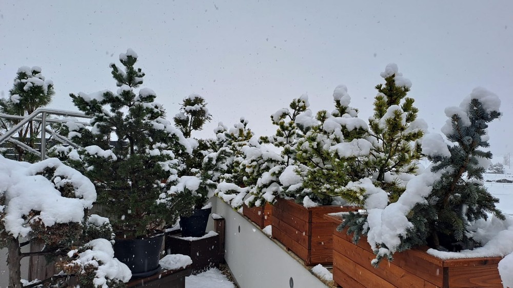 sneh na strednom Slovensku