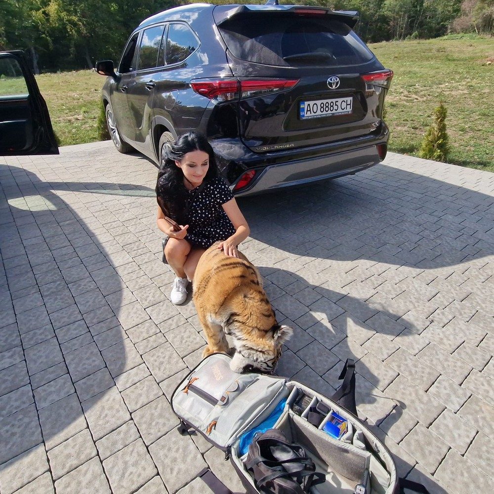 IMG-71f1b906d6d317492d53e2616cc8c823-V