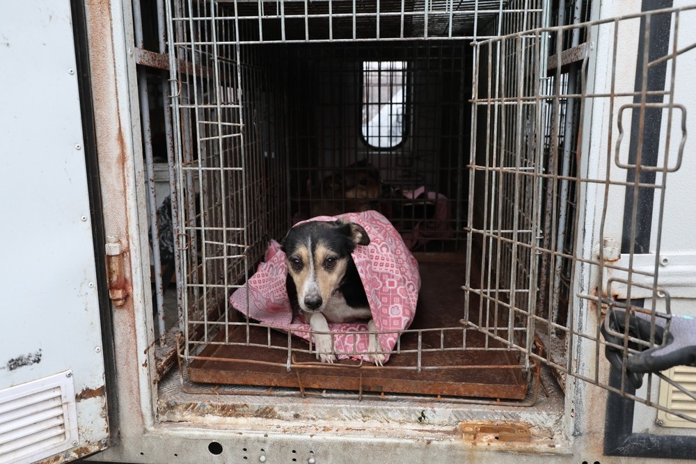 Russia_Ukraine_War045092