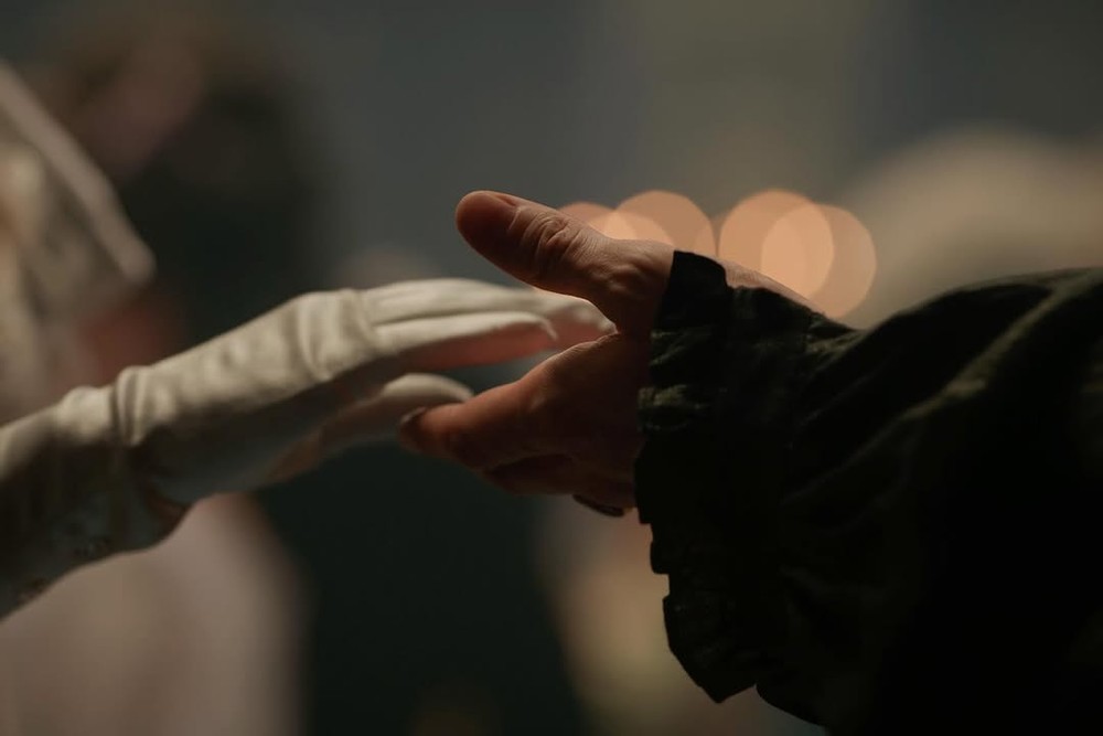 SnapInsta.to_563362498_18118344790539816_263675361583359354_n