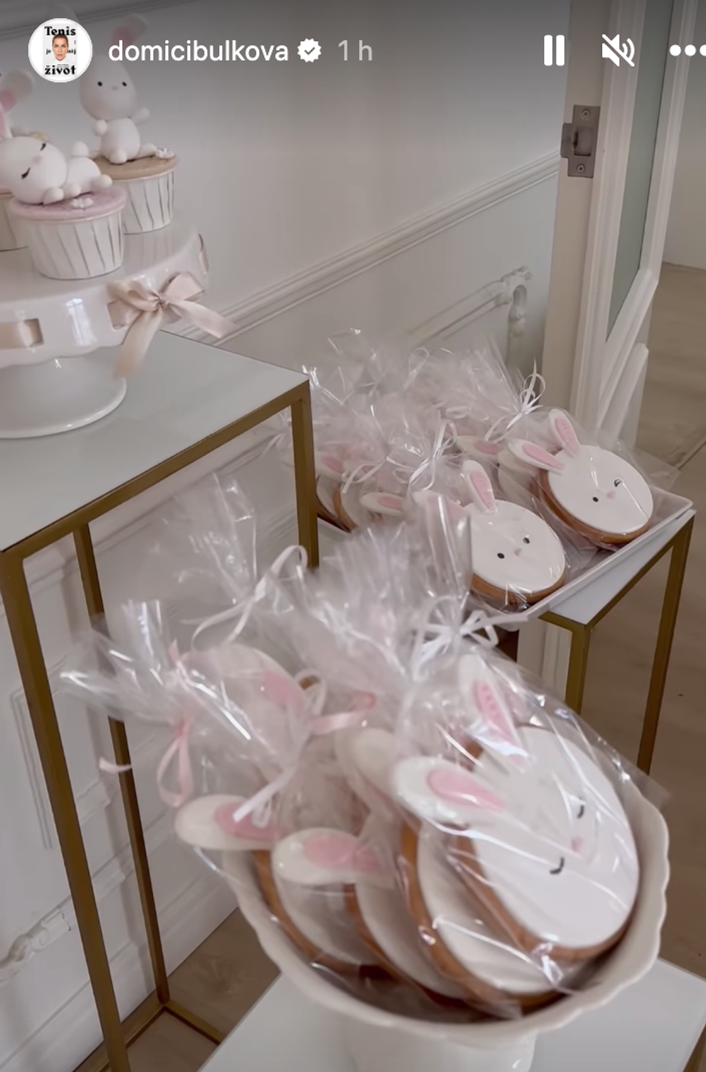 Snímka obrazovky 2023-02-05 o 15.30.49