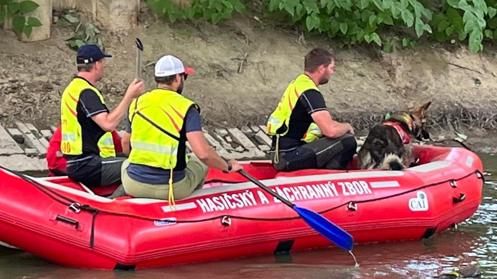 Pátranie po malom chlapcovi 4