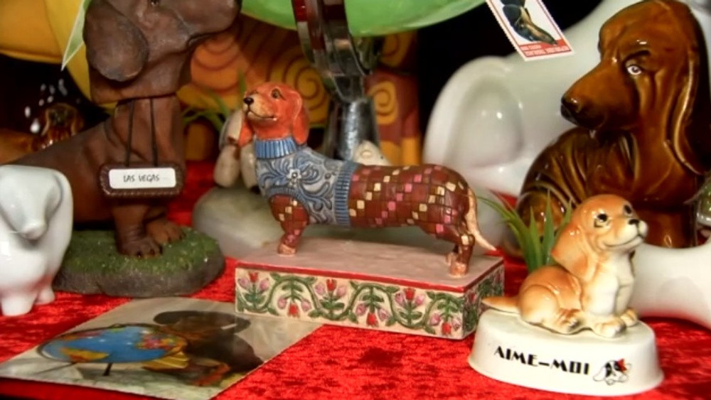 Múzeum jazvečíkov 