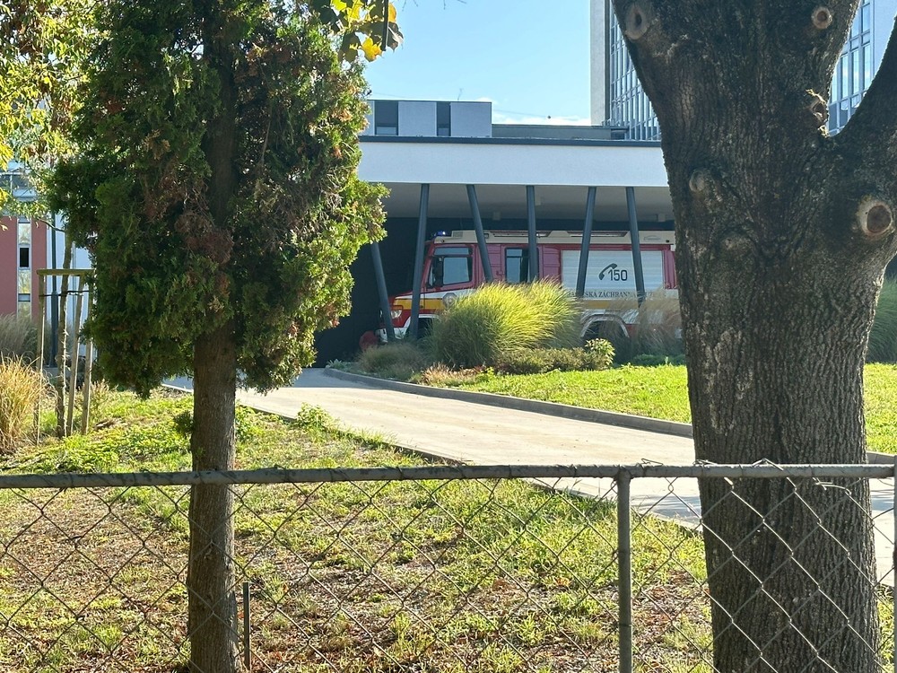 WhatsApp Image 2024-09-19 at 09.55.08