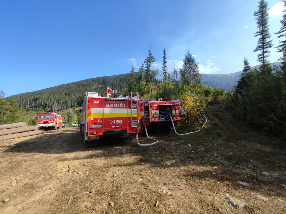 Na Horehroní sa rozhorel les