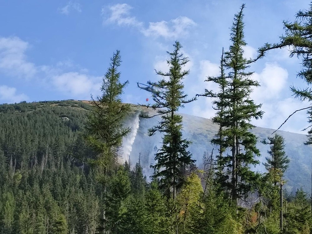 Na Horehroní sa rozhorel les