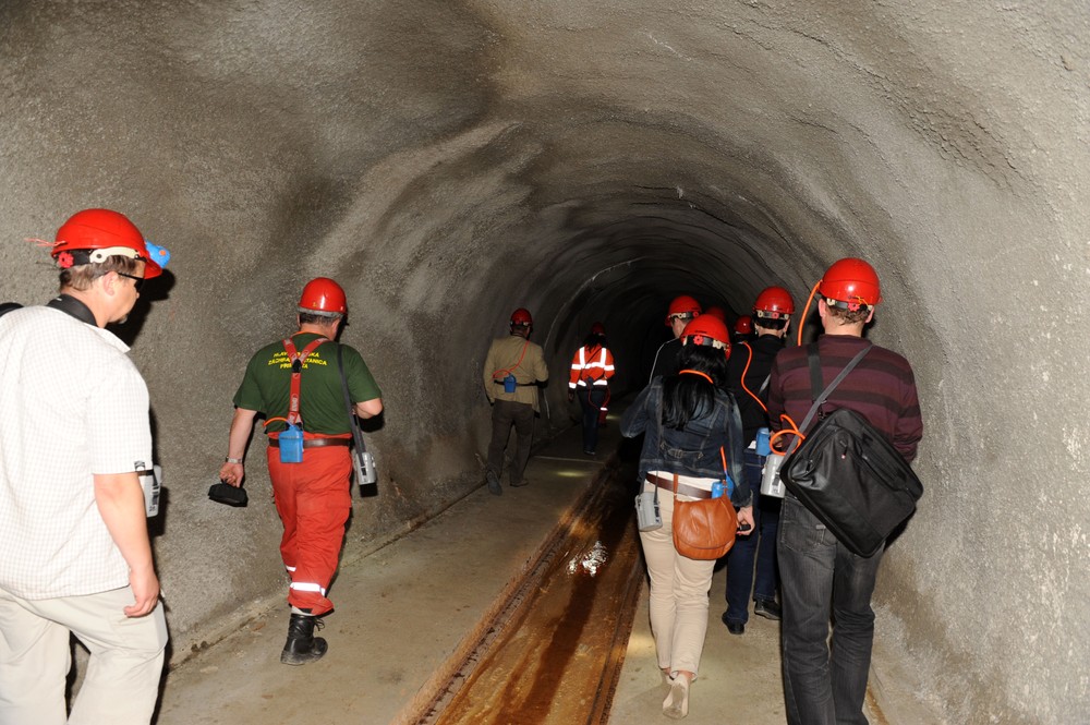 Visnove_stolna_Pociatek9068219