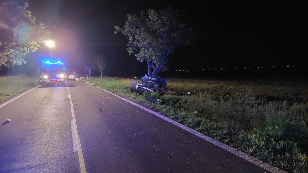 WhatsApp Image 2023-06-10 at 12.55.53