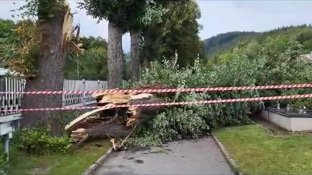 [multi] Spadnutá lipa cintorín Veľké Rovné 396