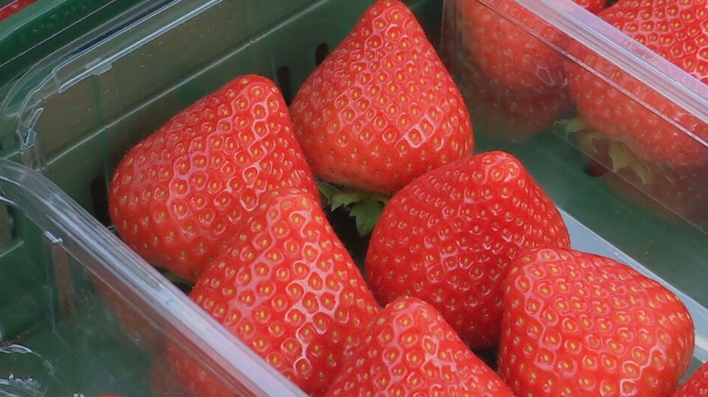 jahody il ovocie (2)