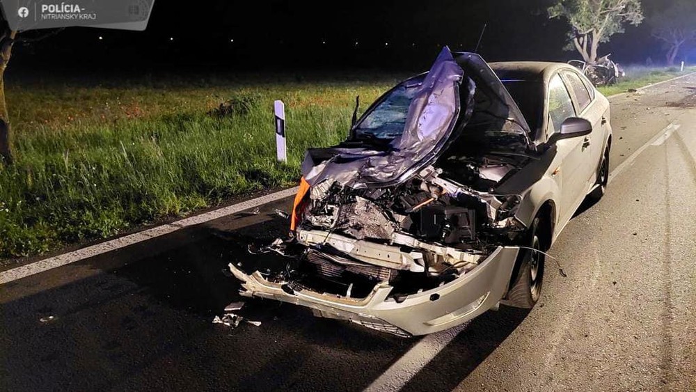 352409403_636563961852818_5537008385324156197_n (1)