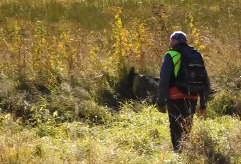 Screenshot 2024-07-27 093936