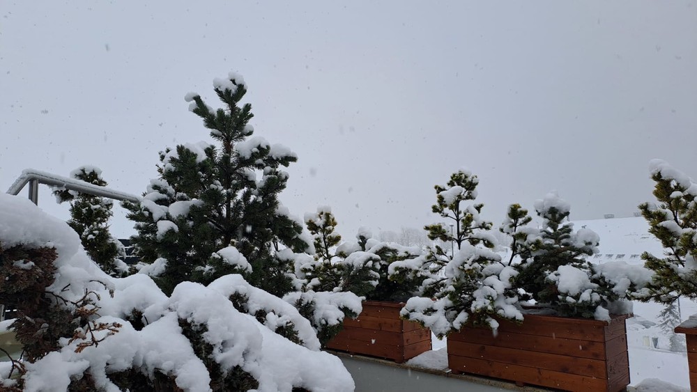 WhatsApp Image 2025-11-21 at 09.48.55