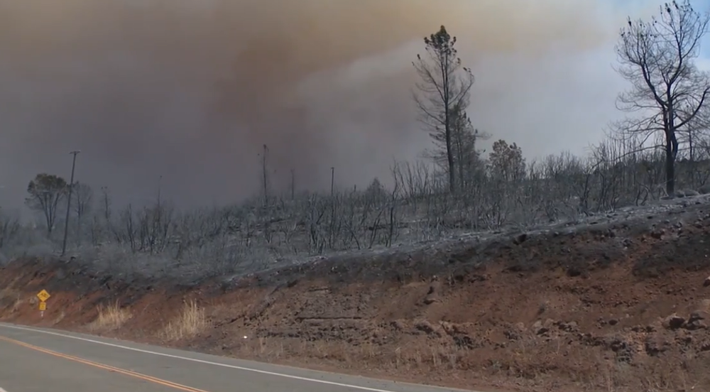 Lesný požiar v Kalifornii