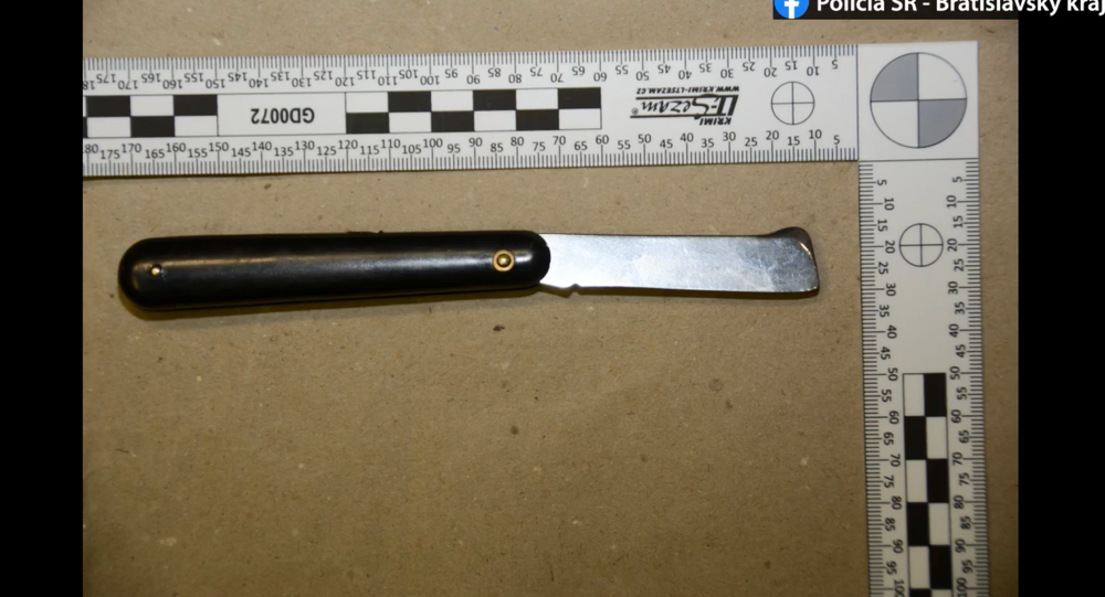 Muž so sekerou vchádza do budovy NR SR