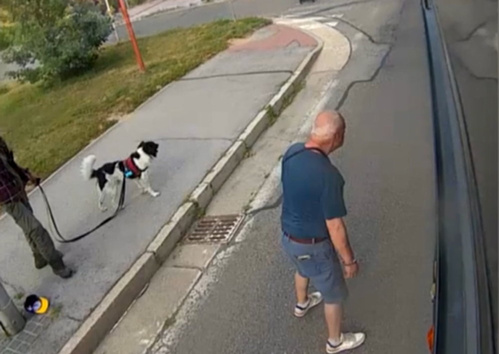 Screenshot 2024-07-05 104128