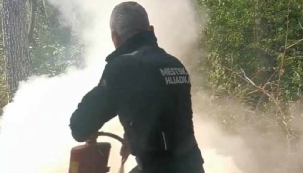 Screenshot 2024-08-11 084739