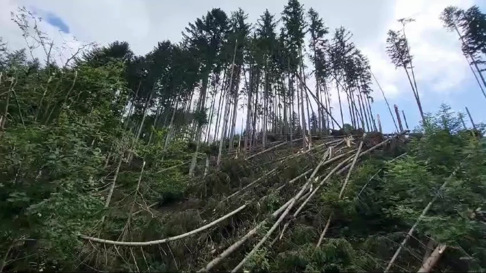 [multi] Kysuce Kalamita 7329