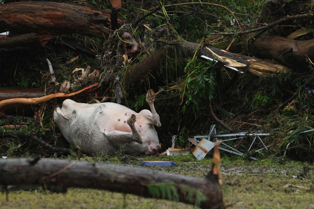 Extreme_Weather_Texas501090