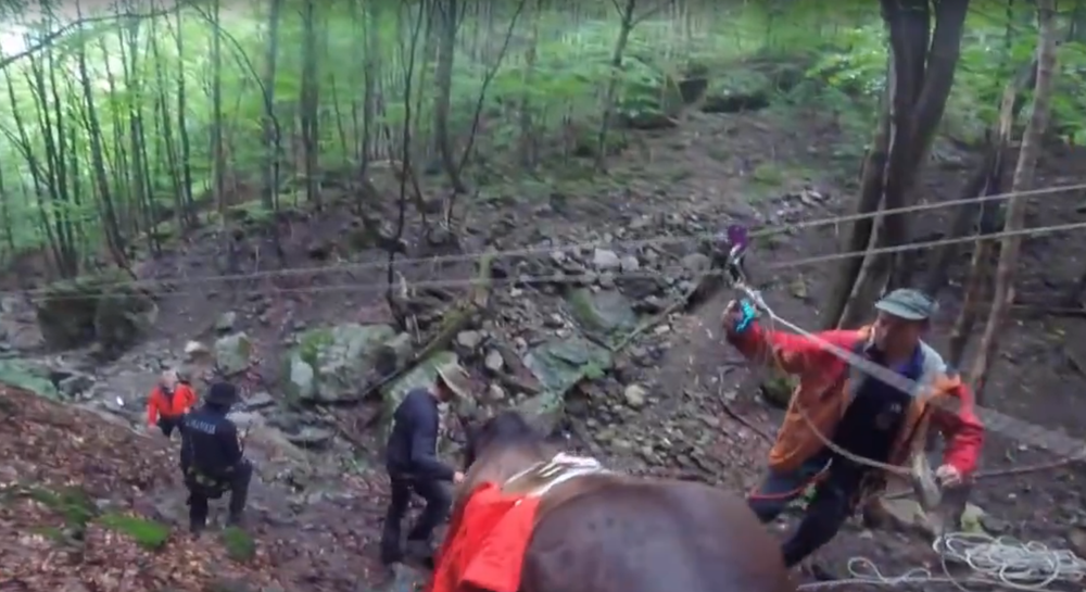 Horskí záchranári takúto akciu ešte nezažili. V Malej Fatre zachraňovali jazdecké kone