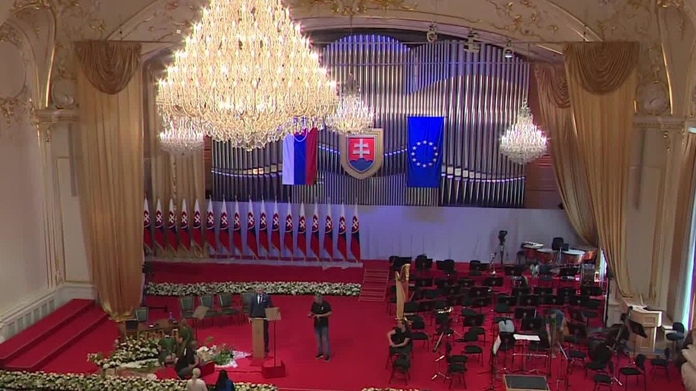 [multi] PelleZloziSlub 4145 (cropped)