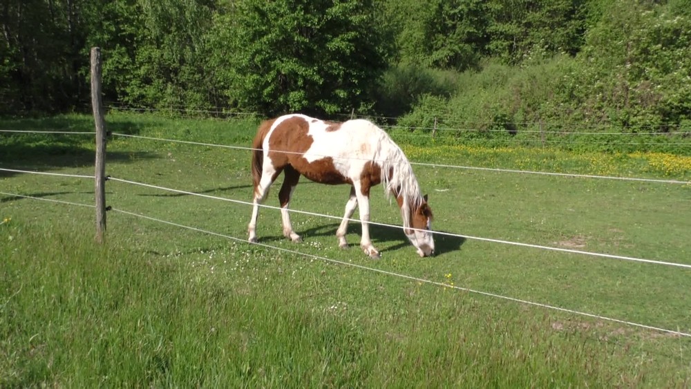 [multi] 050624RCF 2347