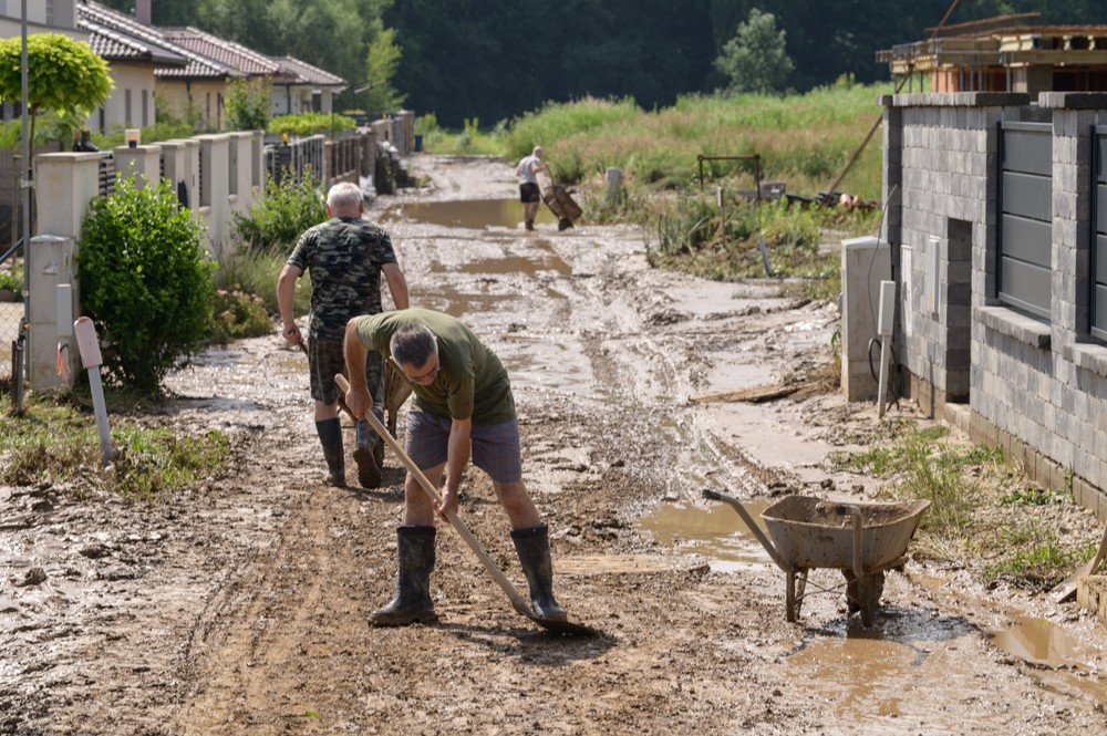 bltpvdnnr110624nr5049754