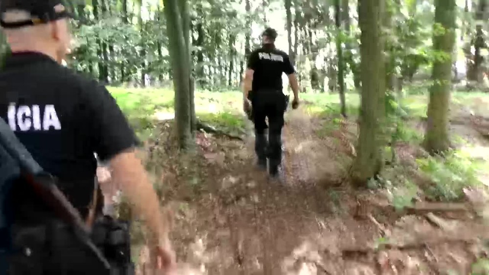 [multi] N12 Rozbity gang prevadzacov.transfer 10532