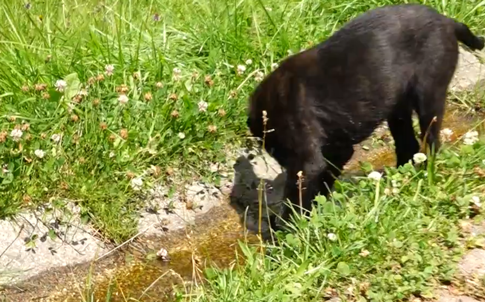 Screenshot 2024-07-27 093840