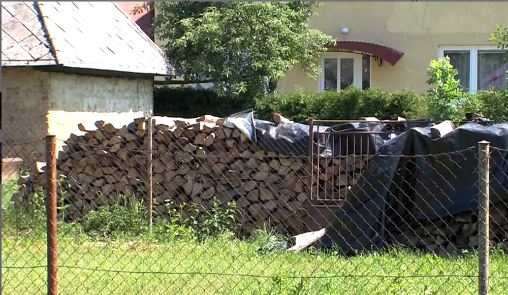 Lesy v národnom parku