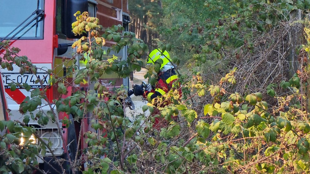 WhatsApp Image 2024-09-04 at 15.21.49