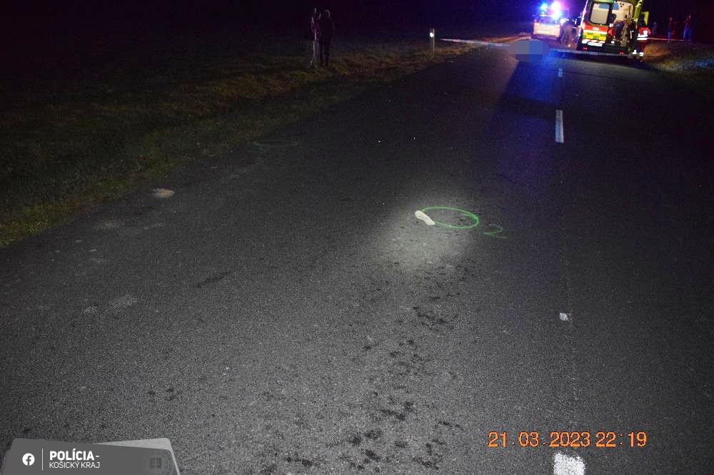 Zrazený chodec, dopravná nehoda (1)