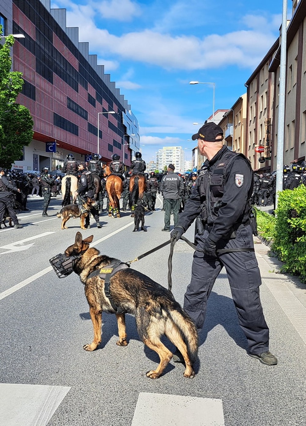 438092932_835790225261222_5827933306105740447_n